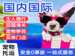 乌兰察布机场快递国际宠物托运 【国